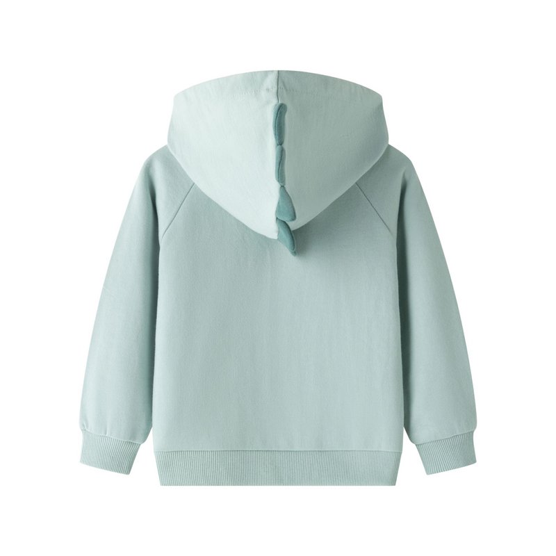 Bluza z kapturem z dzianiny frotte dla chłopca