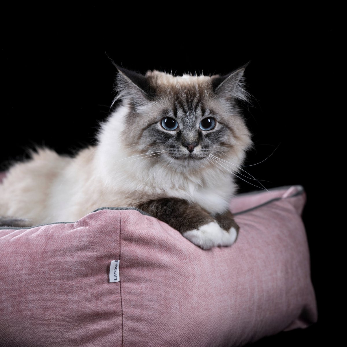 GLAM CLASSIC HUNDEBETT