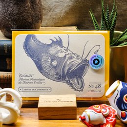 Lantern fish letterpress card with sea-themed illustration and text "No 48 L'Illumine".
The image shows a letterpress card featuring an illustration of a lantern fish, a deep-sea fish with a bioluminescent lure. The card has a vintage, natural aesthetic with the text "No 48 L'Illumine" printed below the illustration. This card would be suitable for someone interested in marine life, nature, or vintage-inspired stationery.