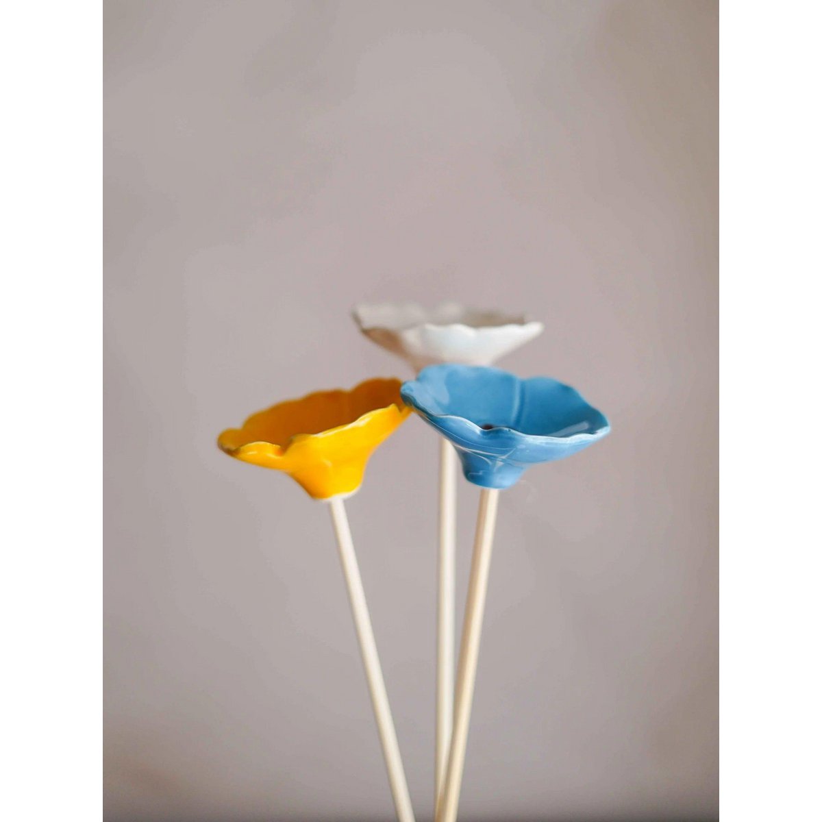 Mohnblume