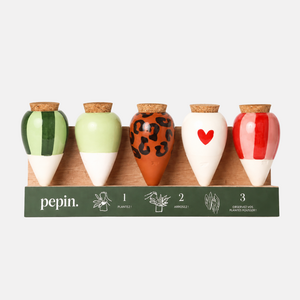 Olla Discovery Pack (display offered)