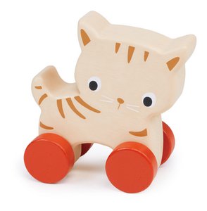 Kitten Op Wielen