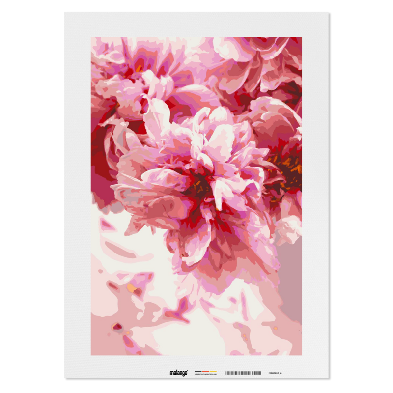 Dipingi con i numeri - Peonie