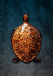 Canvas Wall Art - Teteruga (Turtle)
