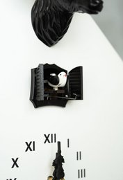 Kuckucksuhr - Black Forest - White/Black