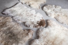 Texel-meliertes beiges Schaffell | 4 Varianten