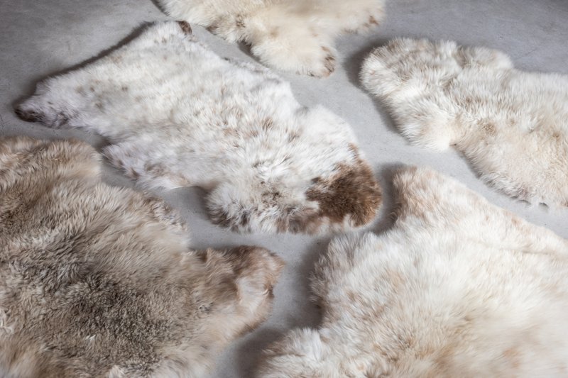 Texel-meliertes beiges Schaffell | 4 Varianten