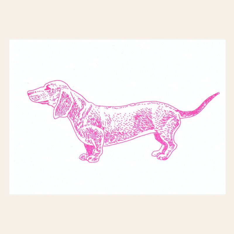 Risography Postcard-Dachshund Fluo-Pink-DIN A6