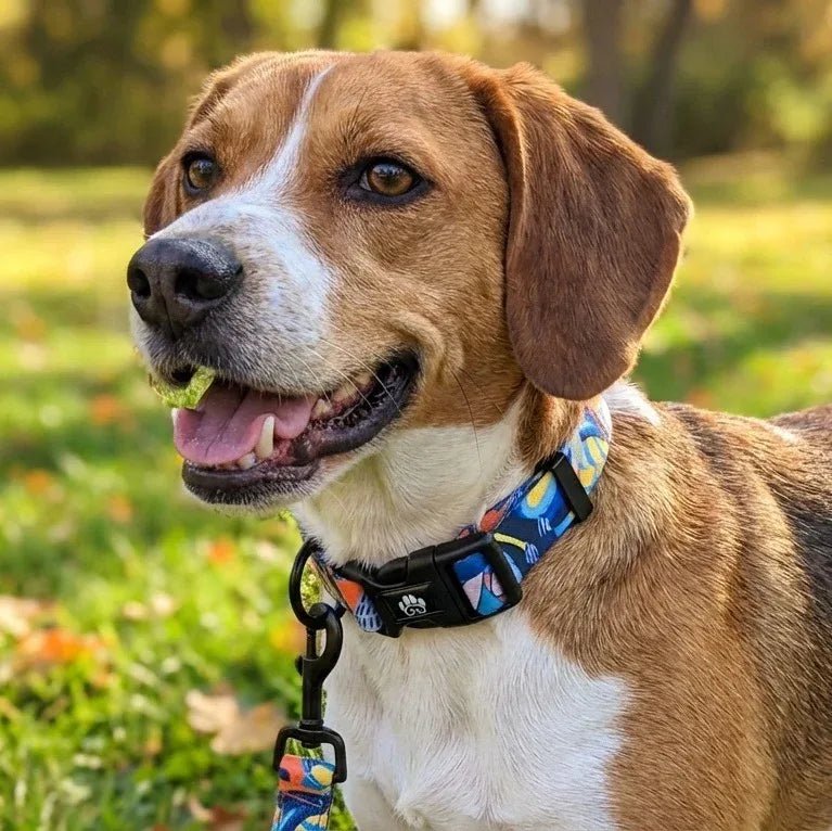 Lagon dog necklace