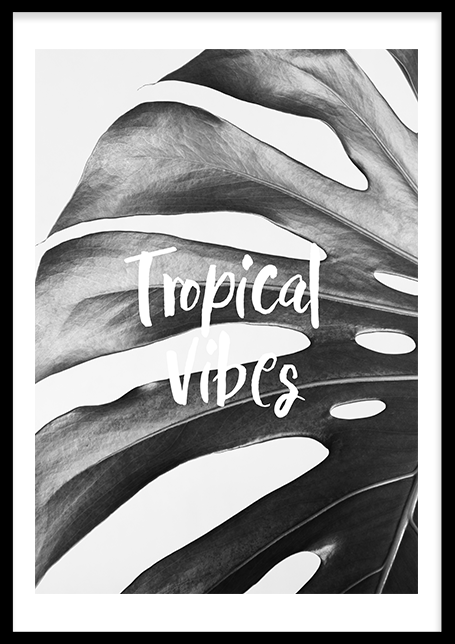 tropiske vibes