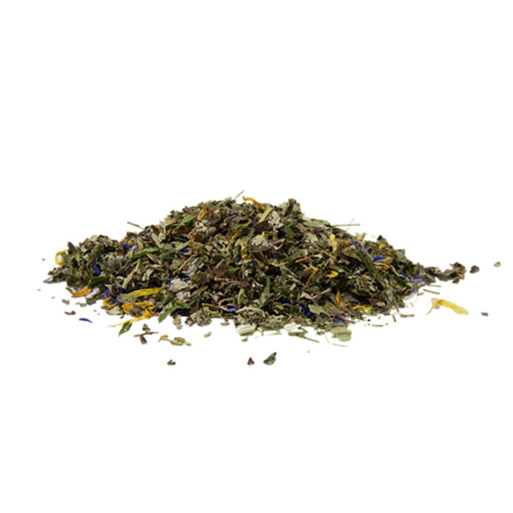 Minze Ginseng (Fresh Mind) - Bio -Superfood -T -Shirt