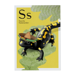 A colorful illustration of a salamander with a black and yellow spotted pattern, sitting on a green leaf. The text identifies the salamander as "Sascha Salamander".