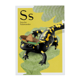 A colorful illustration of a salamander with a black and yellow spotted pattern, sitting on a green leaf. The text identifies the salamander as "Sascha Salamander".