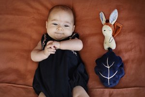 Gabin Musical Rabbit