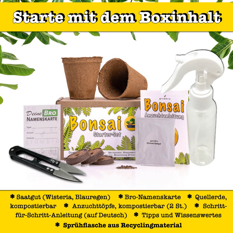 Bonsai - growbro - Kit de culture Wisteria avec cartes climatiques, cultivez votre propre bonsaï bro, cadeaux pour femmes et hommes, kit de démarrage bonsaï