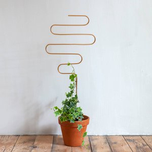 goldener Pflanzenstecker - Squiggle