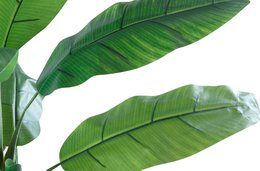 ARTIFICIAL BANANA TREE 180 CM HIGH. OK1037
