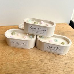 Mini dobbelt med sukkulenter
