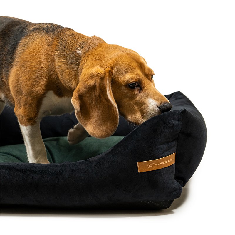 Cama para perros "Otto" negra con colchón ortopédico