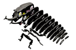 EUGY 3D-puslespil - Rhinoceros Beetle