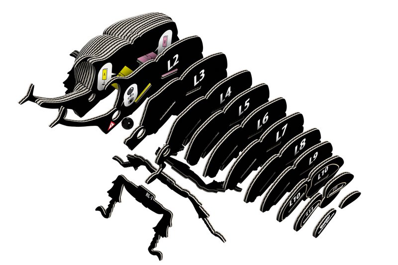 EUGY 3D-puslespil - Rhinoceros Beetle