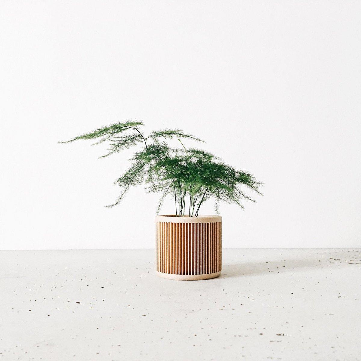 Natural Wood M - 8.5cm inner diameter