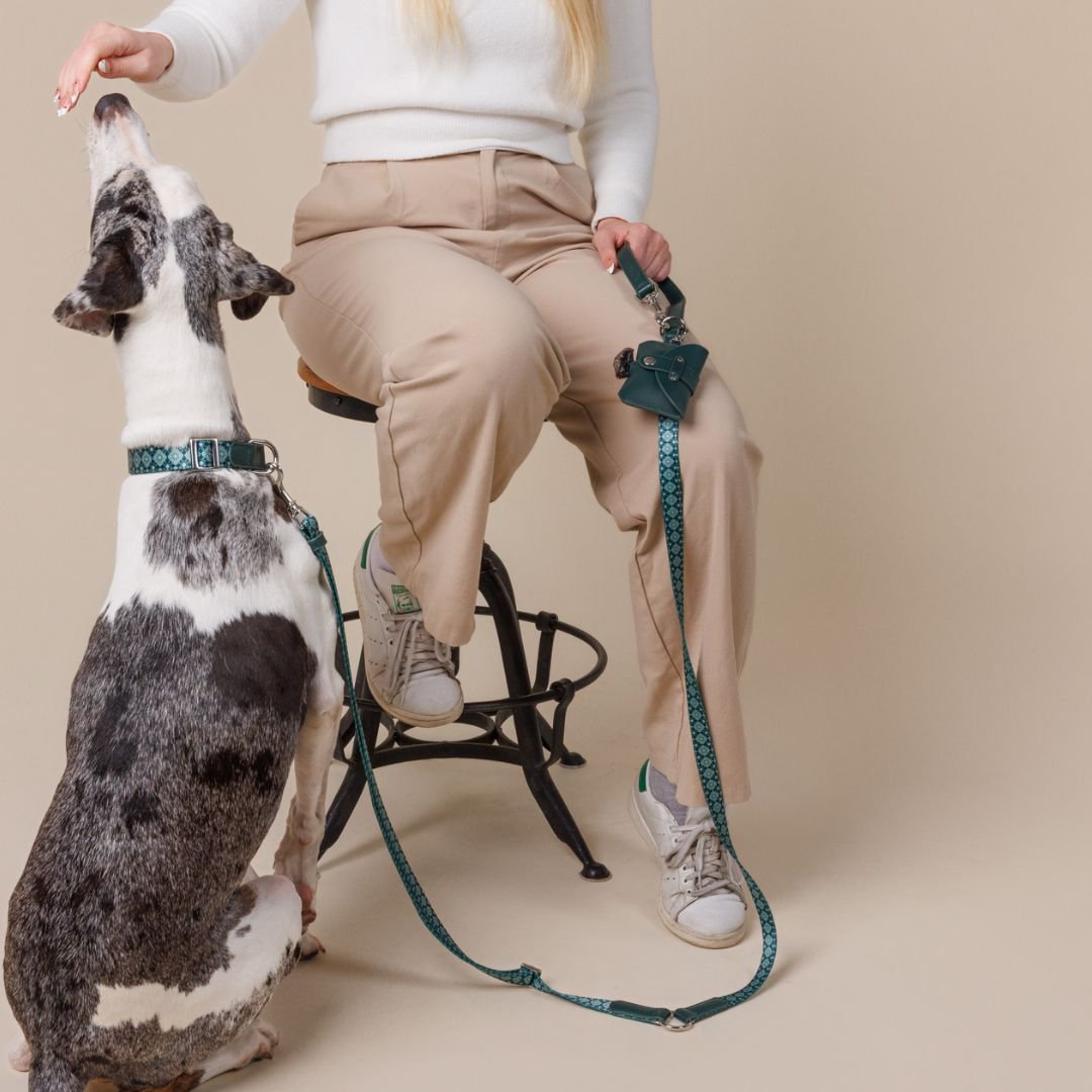 Poop Bag Holder Dark Green