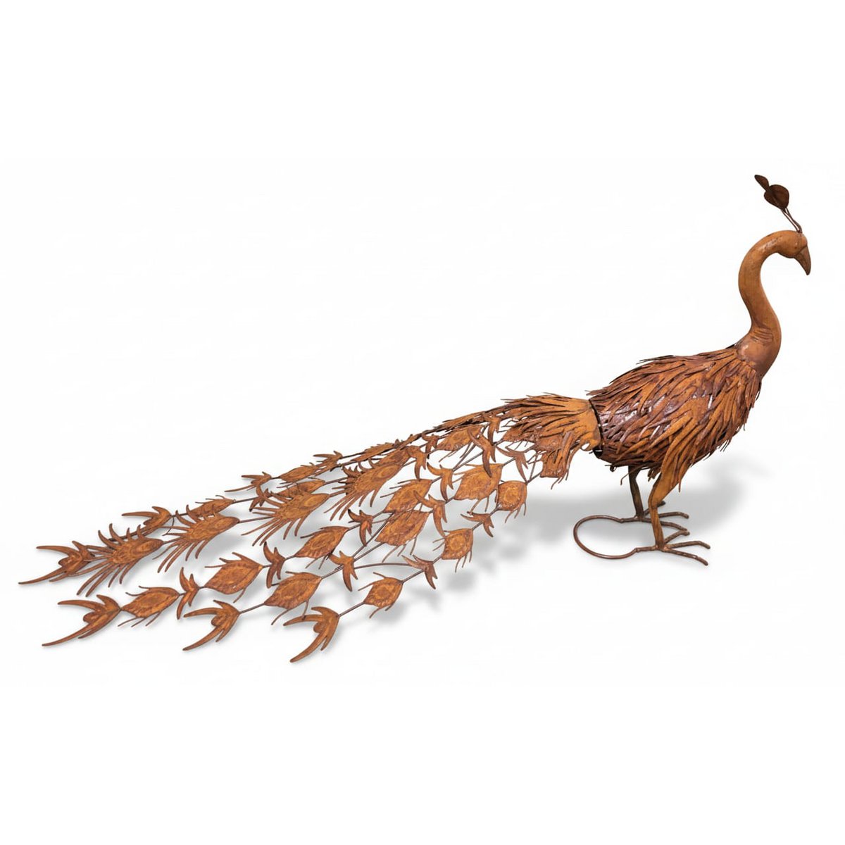 IJzeren pauw, 130x64x65cm