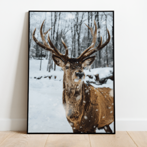 Poster winter