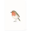 Postkarte | Robin Aquarell