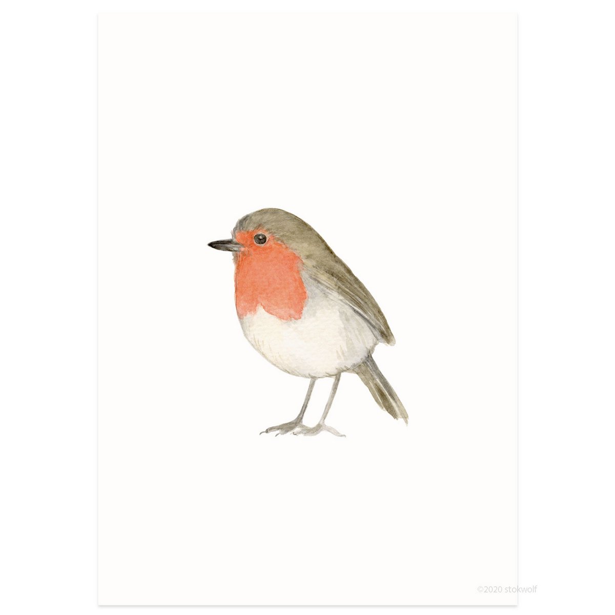 postcard | Robin watercolor