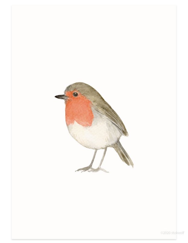 postkort | Robin akvarel