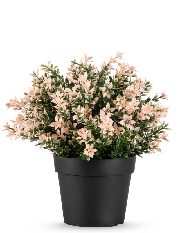 Pianta artificiale Buxus rosa UV 22 cm
