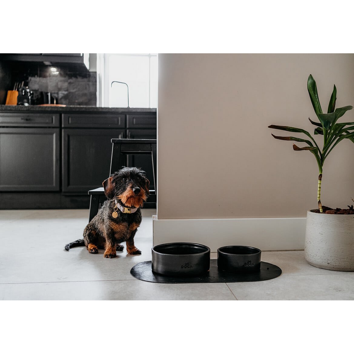 Pet Bowl Tischset DOGA Schwarz