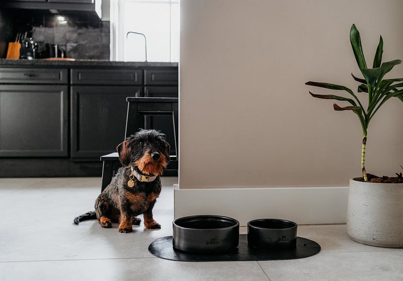 Pet Bowl Dækkeserviet DOGA Sort
