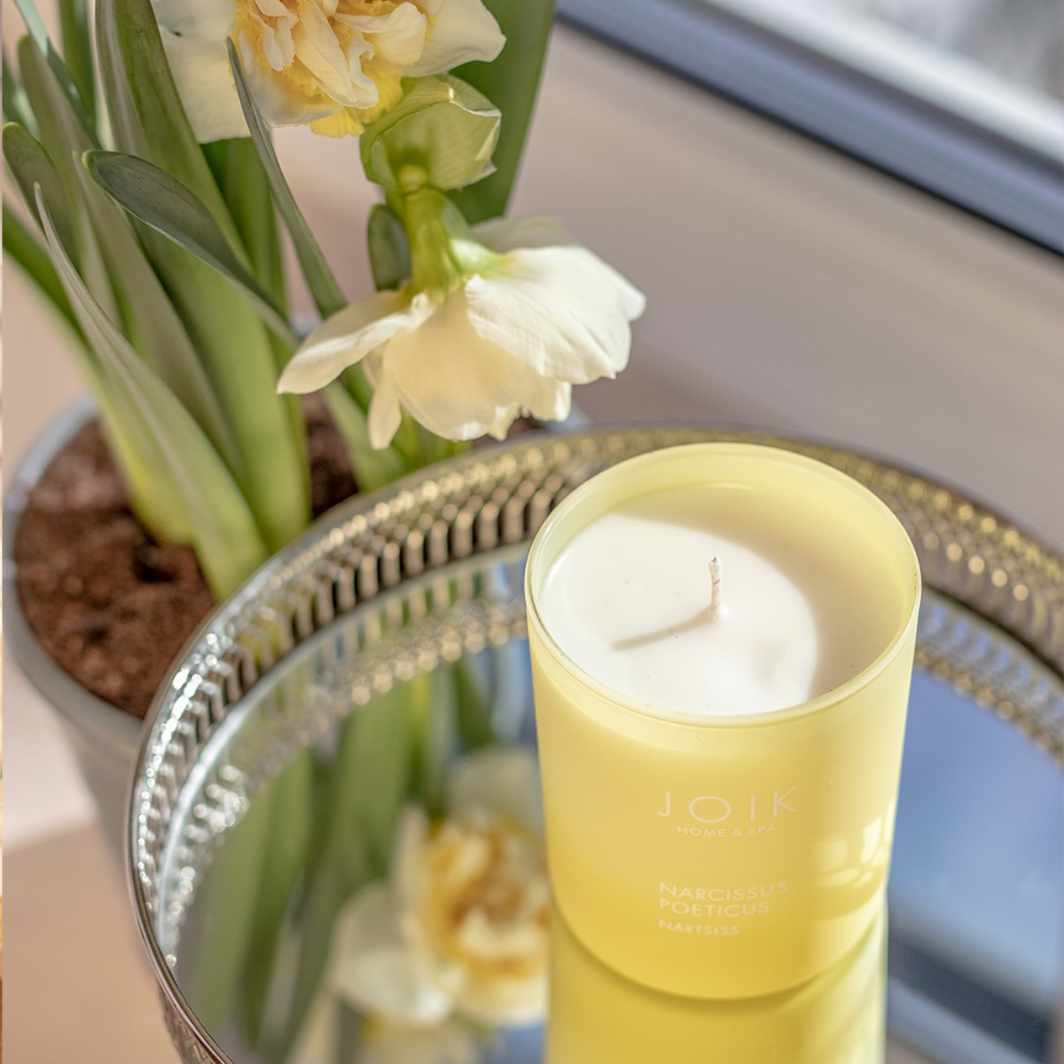 JOIK Home & Spa - Świeca zapachowa Narcissus Poeticus - 150 gr