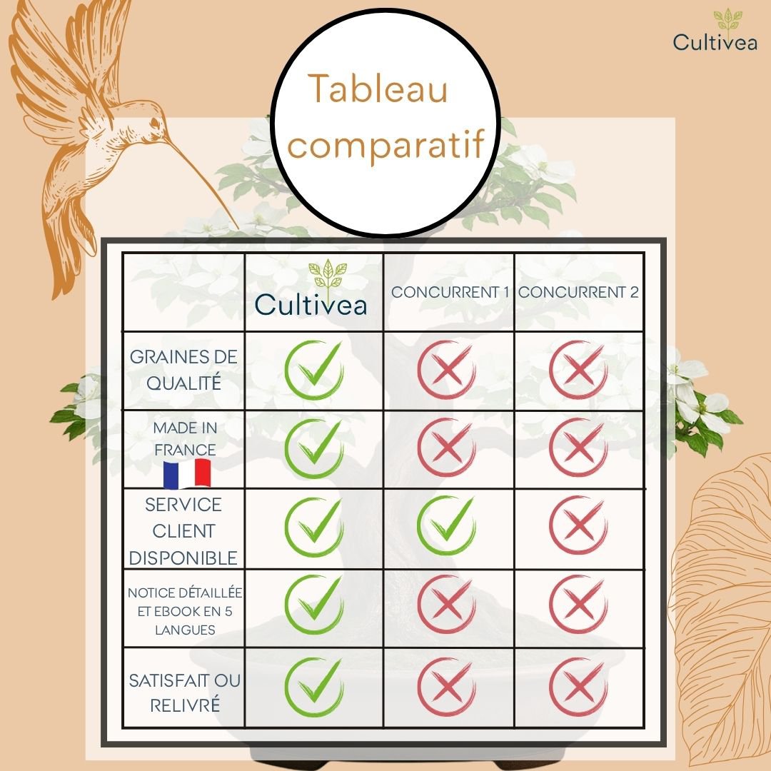 Cultivea - Kit First Bonsai - Kit de première culture de bonsaï avec accessoires | Idée cadeau Originale
