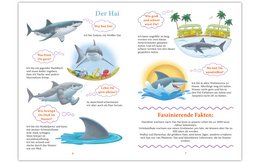 "WiBuKi" Wissensbuch für Kinder: Die Unterwasserwelt - Vielerlei über Tiere, die in den Tiefen der Weltmeere leben - für Kinder ab 3 Jahren