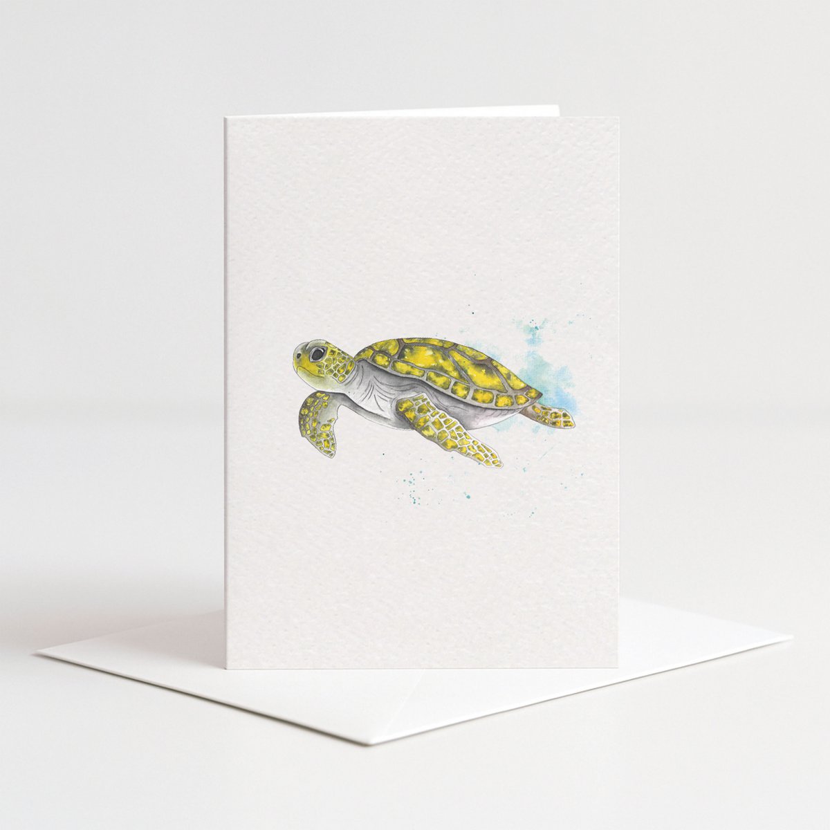 Card turtle color with envelope