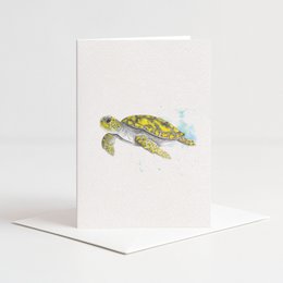 Card turtle color with envelope