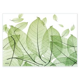 Artipics manteles individuales verde suave manteles individuales plástico lavable 4 piezas cada uno 42 x 30 cm verde pastel decoración de mesa sencilla para la cocina, comedor, invitados, interior, exterior