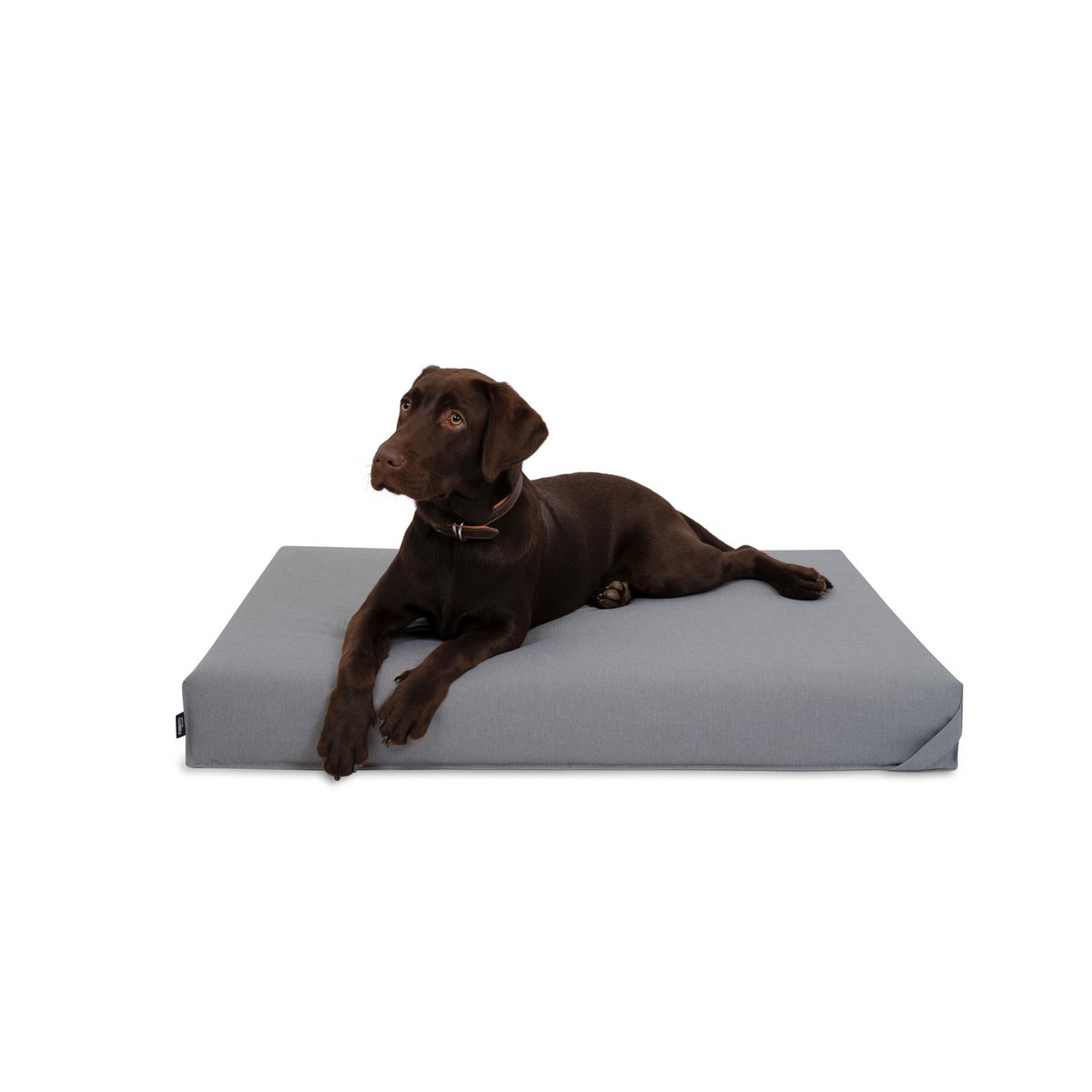 La alfombrilla para perros FINNTO
