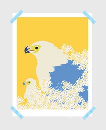 Poster - Eagles
