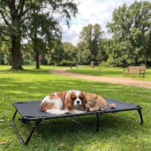 Yommy verhoogd opvouwbaar hondenbed, ademend verhoogd huisdierbed voor honden en katten, draagbaar vochtbestendig huisdierbed in hangmatstijl, duurzaam en gemakkelijk schoon te maken, gebruik binnen en buiten, het hele seizoen, 3 maten