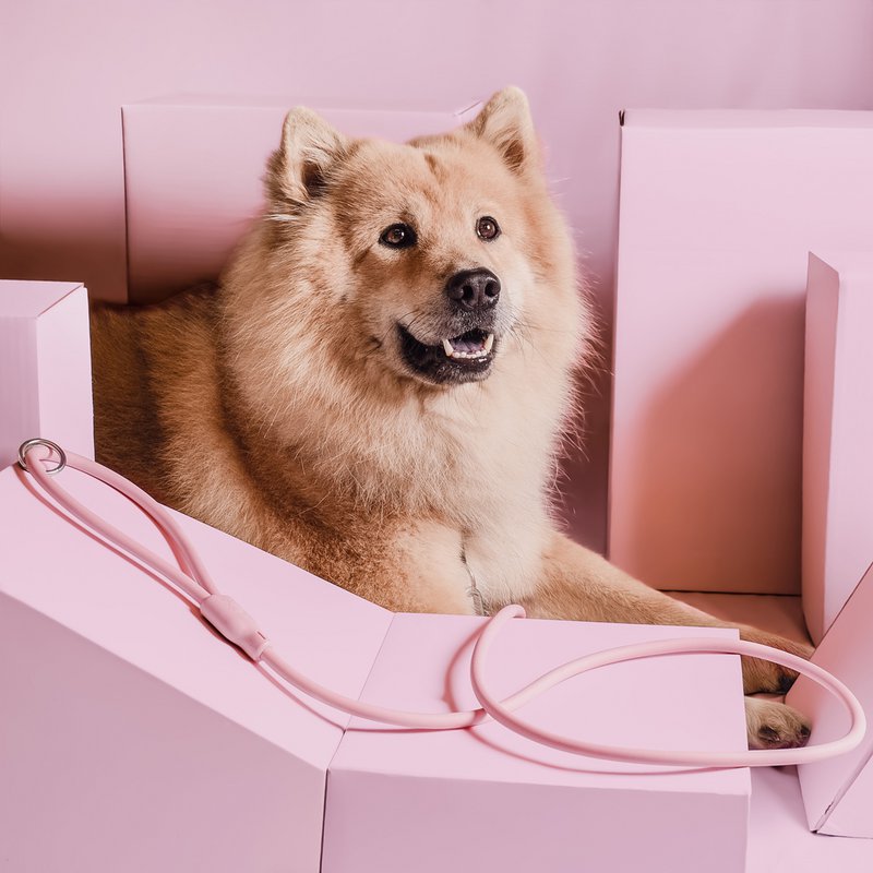 NE & No® Dog Lease "Loft Style" - Weerbestendig
