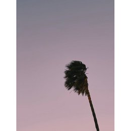 Magnetisch markeerbord - Palm