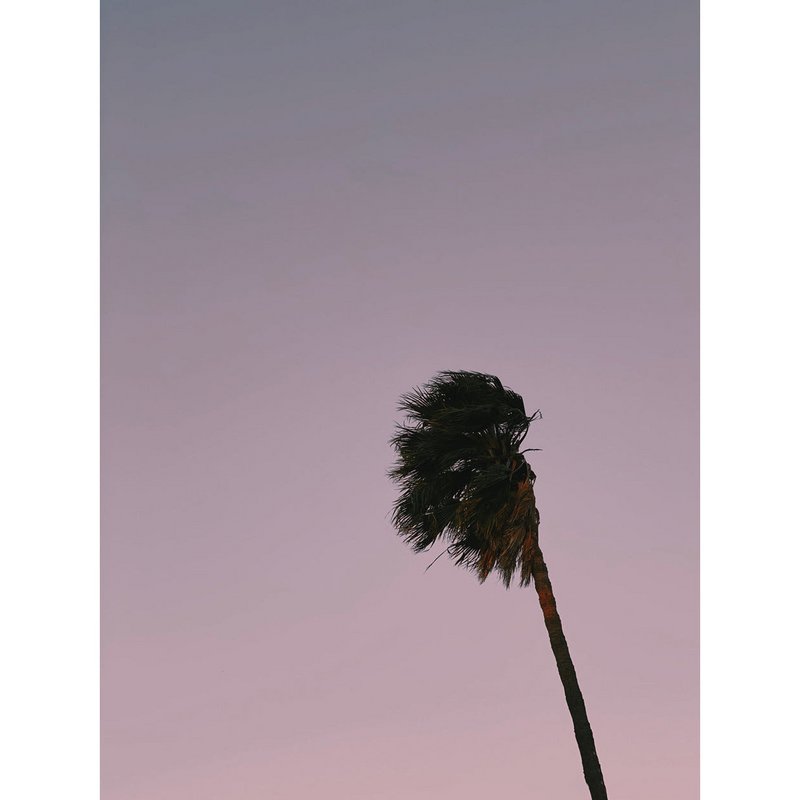 Magnetisch markeerbord - Palm