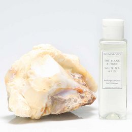 Hvid te & figen diffuser refill 100