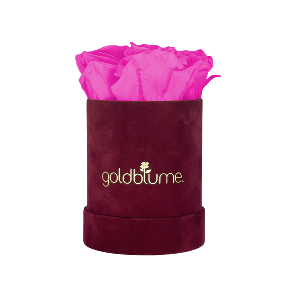 Collection Velours Bordeaux