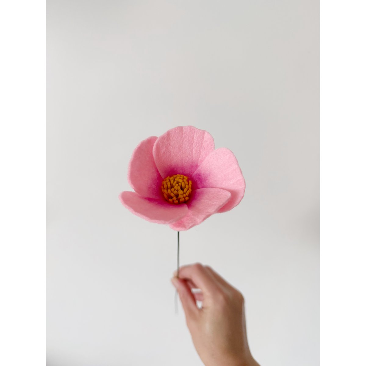 Feltbloem Cosmea Pink